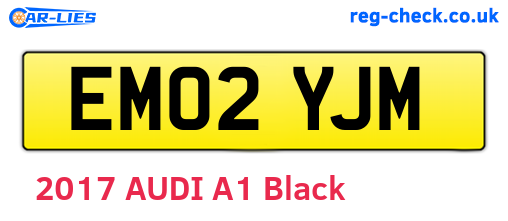 EM02YJM are the vehicle registration plates.