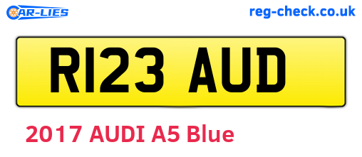 R123AUD are the vehicle registration plates.