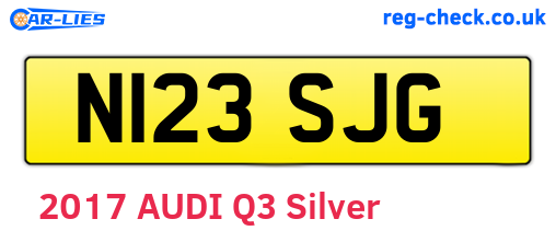 N123SJG are the vehicle registration plates.