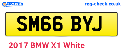 SM66BYJ are the vehicle registration plates.