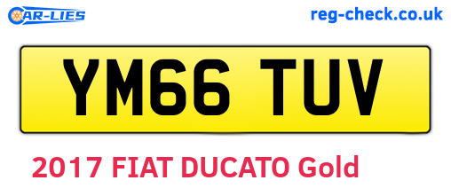 YM66TUV are the vehicle registration plates.