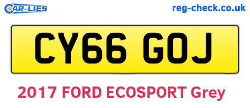 CY66GOJ are the vehicle registration plates.