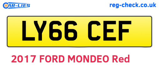 LY66CEF are the vehicle registration plates.