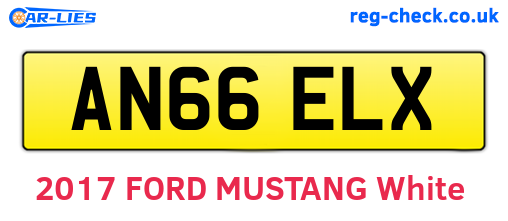 AN66ELX are the vehicle registration plates.