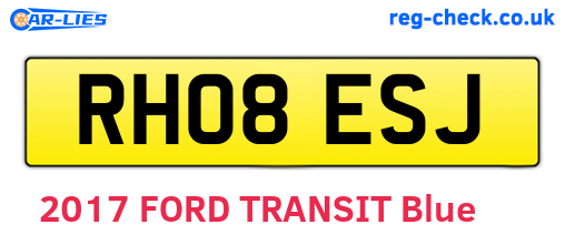 RH08ESJ are the vehicle registration plates.