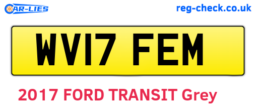 WV17FEM are the vehicle registration plates.
