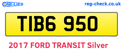 TIB6950 are the vehicle registration plates.