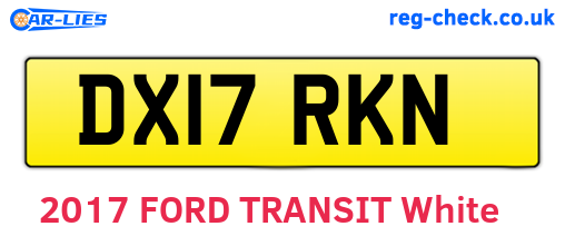 DX17RKN are the vehicle registration plates.