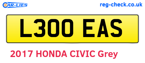 L300EAS are the vehicle registration plates.