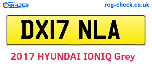 DX17NLA are the vehicle registration plates.