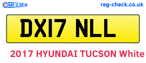 DX17NLL are the vehicle registration plates.