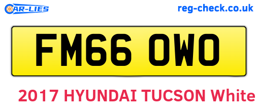 FM66OWO are the vehicle registration plates.