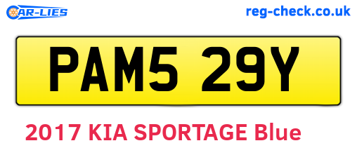 PAM529Y are the vehicle registration plates.