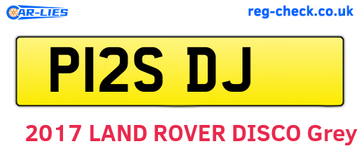 P12SDJ are the vehicle registration plates.