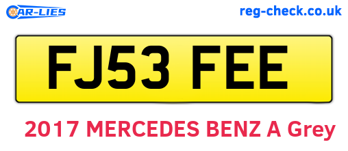 FJ53FEE are the vehicle registration plates.