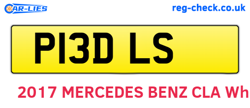 P13DLS are the vehicle registration plates.