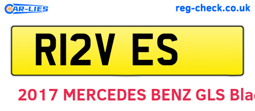 R12VES are the vehicle registration plates.
