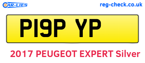 P19PYP are the vehicle registration plates.