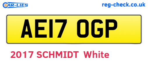 AE17OGP are the vehicle registration plates.