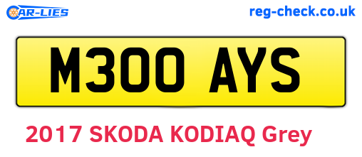 M300AYS are the vehicle registration plates.