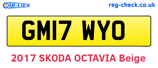 GM17WYO are the vehicle registration plates.