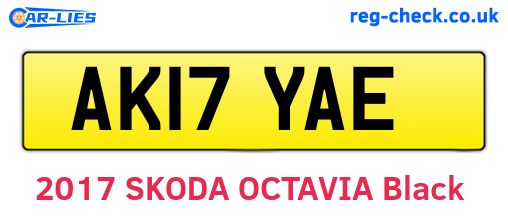 AK17YAE are the vehicle registration plates.