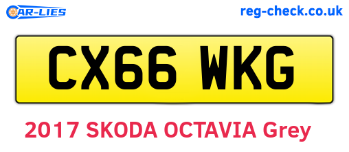 CX66WKG are the vehicle registration plates.