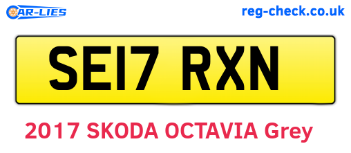 SE17RXN are the vehicle registration plates.