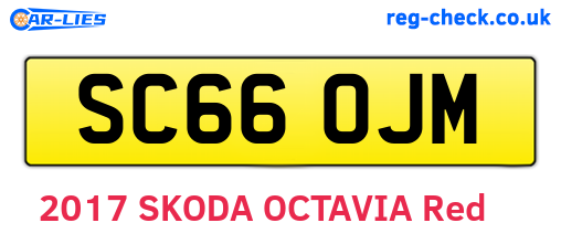 SC66OJM are the vehicle registration plates.
