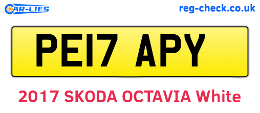 PE17APY are the vehicle registration plates.