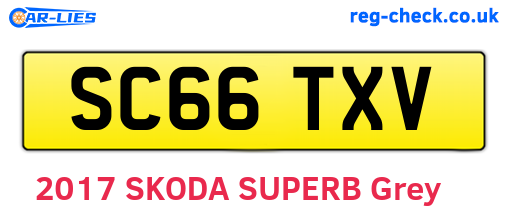 SC66TXV are the vehicle registration plates.
