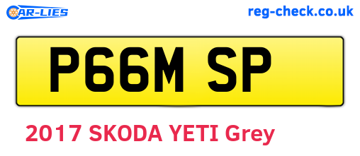 P66MSP are the vehicle registration plates.