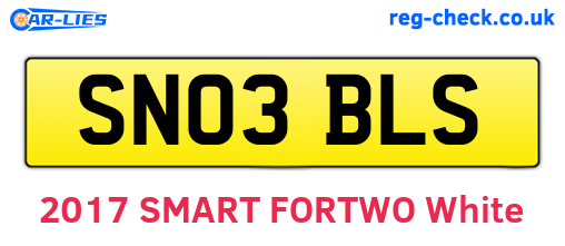 SN03BLS are the vehicle registration plates.
