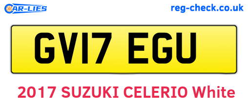 GV17EGU are the vehicle registration plates.