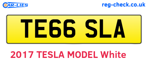 TE66SLA are the vehicle registration plates.