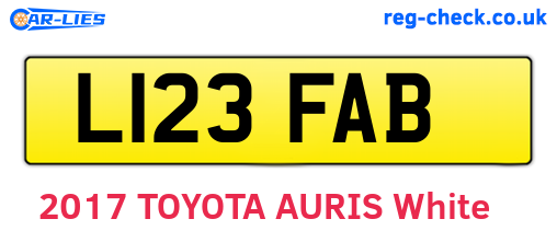 L123FAB are the vehicle registration plates.