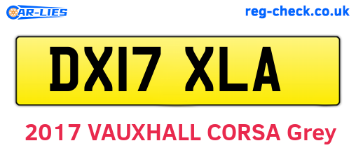 DX17XLA are the vehicle registration plates.