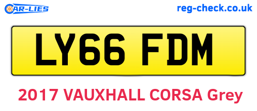 LY66FDM are the vehicle registration plates.