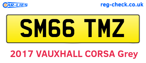 SM66TMZ are the vehicle registration plates.