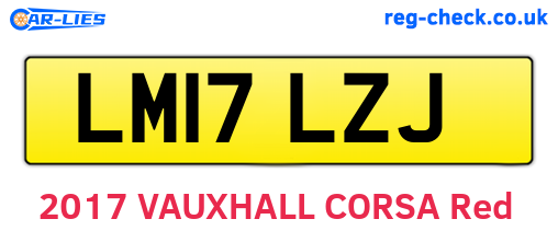 LM17LZJ are the vehicle registration plates.