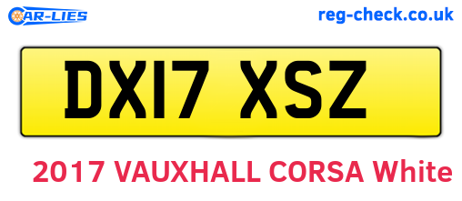 DX17XSZ are the vehicle registration plates.