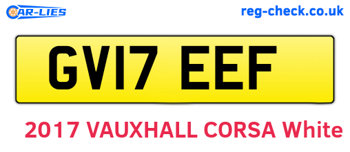 GV17EEF are the vehicle registration plates.