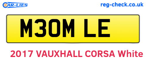 M30MLE are the vehicle registration plates.