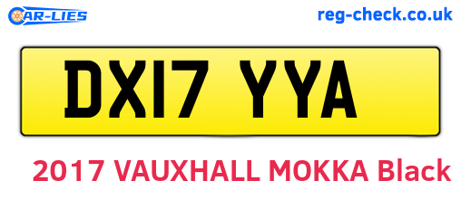 DX17YYA are the vehicle registration plates.