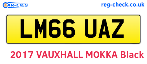 LM66UAZ are the vehicle registration plates.