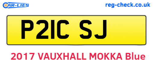 P21CSJ are the vehicle registration plates.