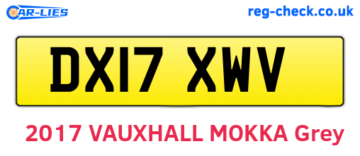 DX17XWV are the vehicle registration plates.
