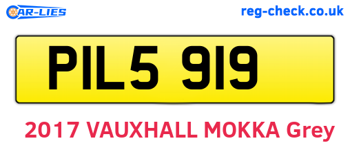 PIL5919 are the vehicle registration plates.