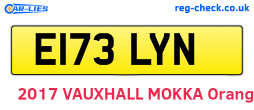 E173LYN are the vehicle registration plates.