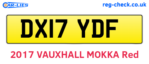 DX17YDF are the vehicle registration plates.